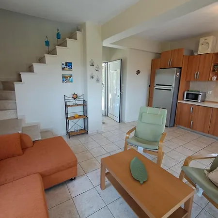 E&m View Полихроно